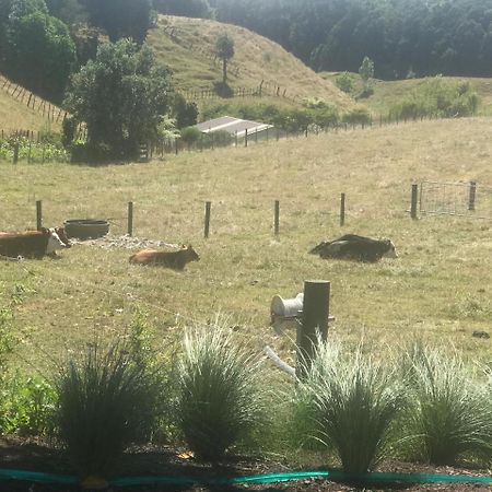 Pukeko Lodge Bnb New Plymouth Exterior photo
