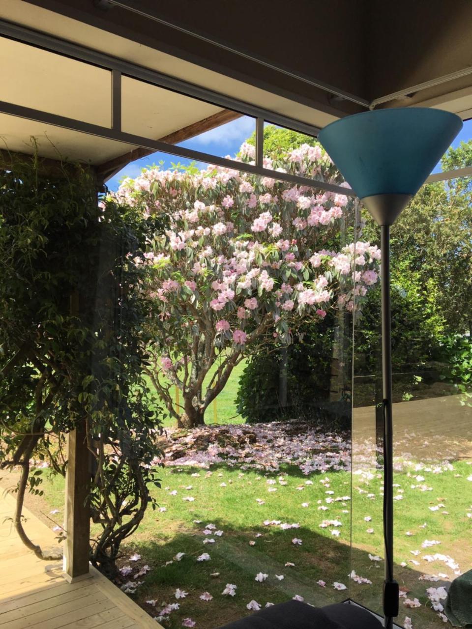Pukeko Lodge Bnb New Plymouth Exterior photo