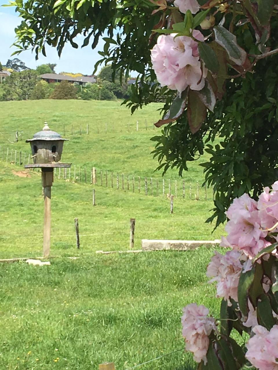 Pukeko Lodge Bnb New Plymouth Exterior photo